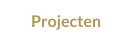 Projecten